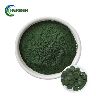 Saf Spirulina Tozu