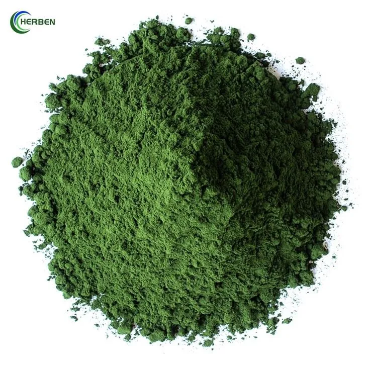 Nannochloropsis Powder